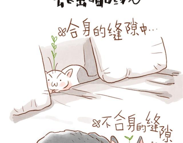 缝隙是猫的小秘密-第16话