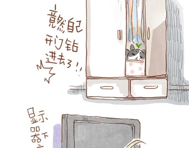 缝隙是猫的小秘密-第16话