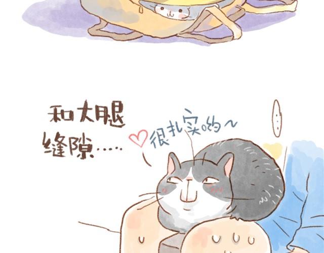 缝隙是猫的小秘密-第16话