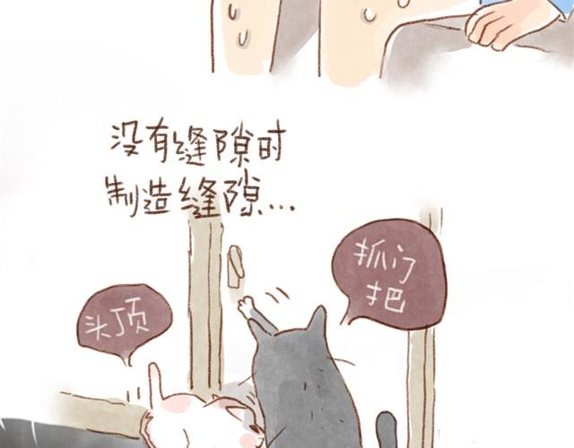 缝隙是猫的小秘密-第16话