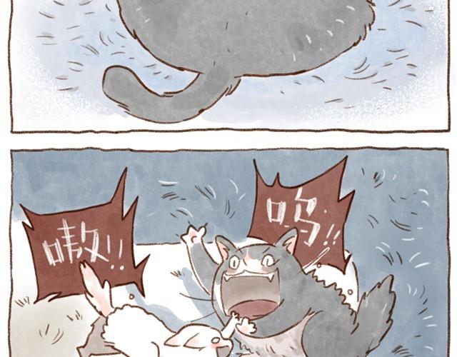 缝隙是猫的小秘密-第16话