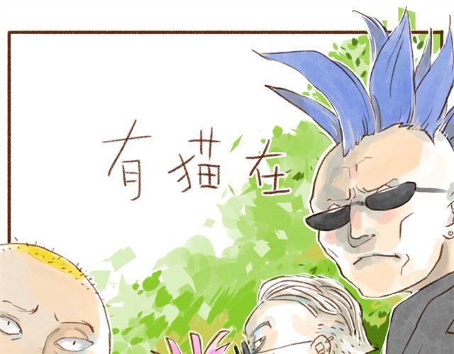 猫的无穷魅力-第18话