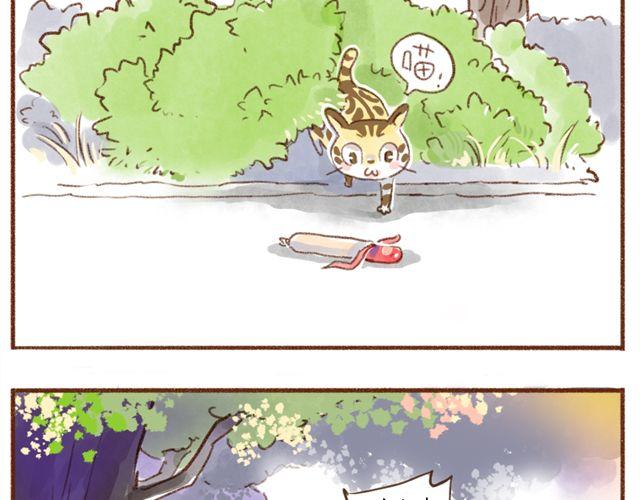 猫的无穷魅力-第18话