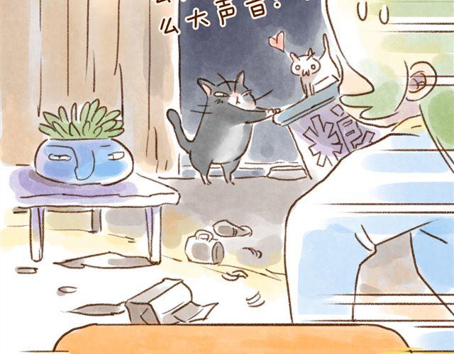 有猫在，不睡觉-第22话