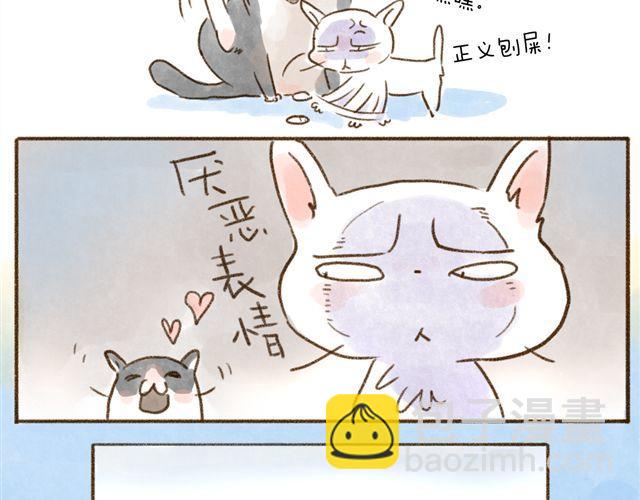 猫是勇于表达情绪的生物-第24话