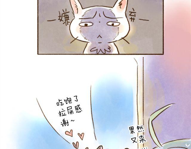 猫是勇于表达情绪的生物-第24话