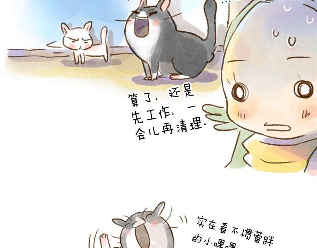 猫是勇于表达情绪的生物-第24话