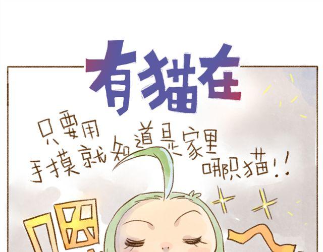只要用手摸就能知道是家里哪只猫-第26话