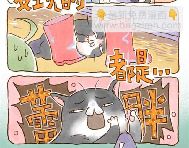 只要用手摸就能知道是家里哪只猫-第26话