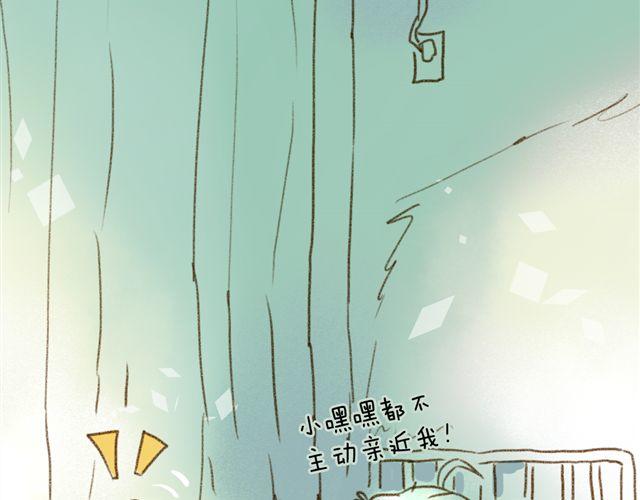 只要用手摸就能知道是家里哪只猫-第26话