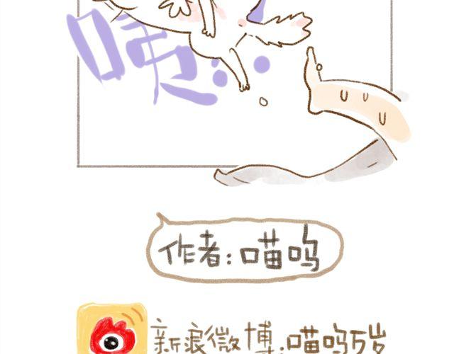 只要用手摸就能知道是家里哪只猫-第26话