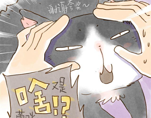 只要用手摸就能知道是家里哪只猫-第26话