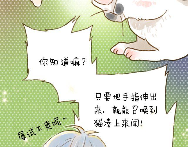 召唤猫的方法-第28话