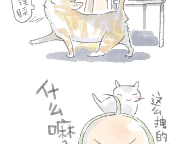 蕾胖机关枪-第4话