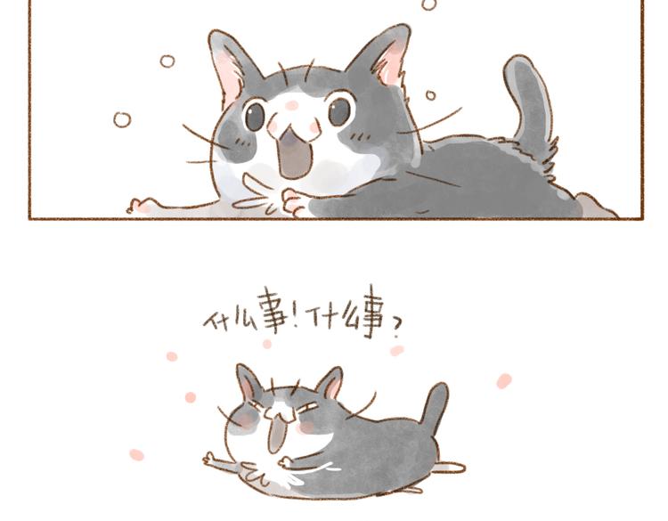 一叫就来的蕾胖-第46话