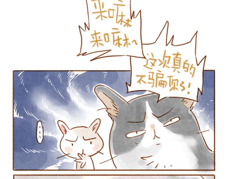 被猫鄙视了！-第48话