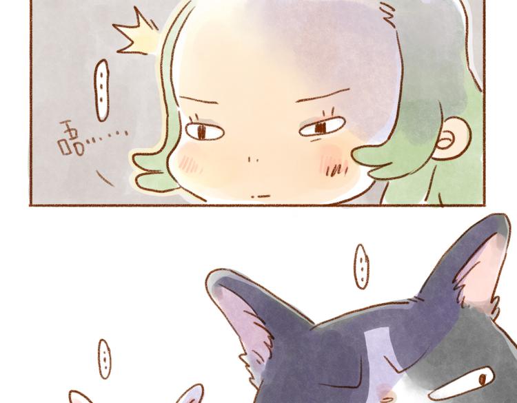 被猫鄙视了！-第48话