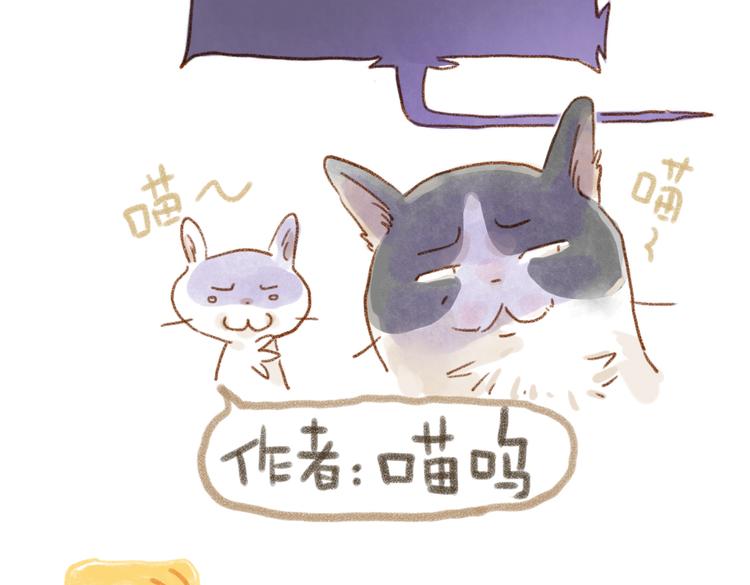 被猫鄙视了！-第48话