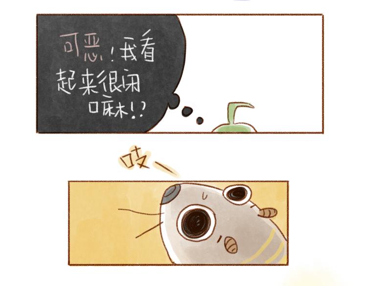 被猫鄙视了！-第48话
