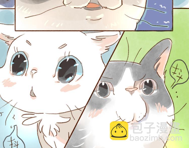 有苍蝇啊-第50话