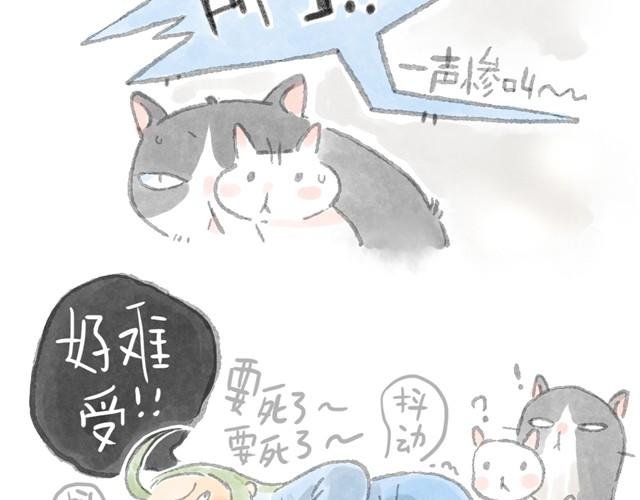 被猫鄙视智商的我-第6话