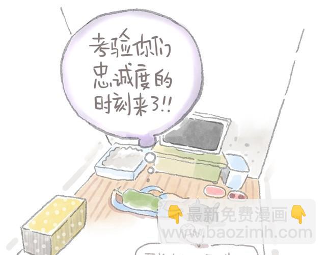 被猫鄙视智商的我-第6话