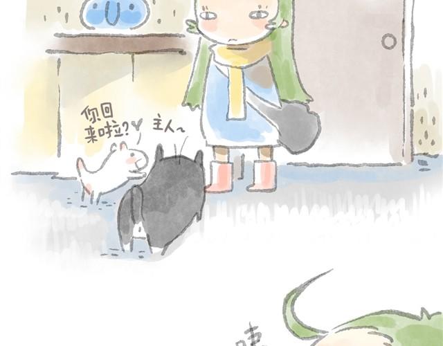 被猫鄙视智商的我-第6话