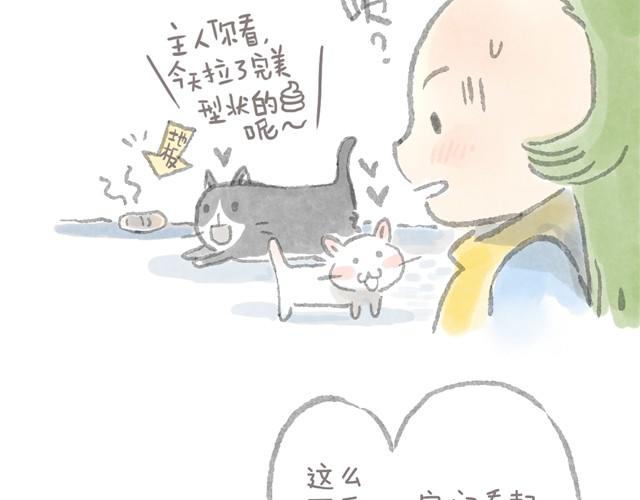 被猫鄙视智商的我-第6话