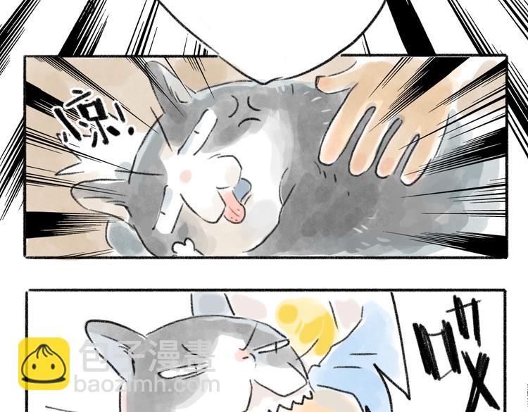 我被猫咬了-第52话