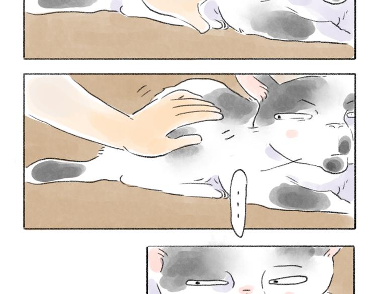 取得猫咪信任的方法-第54话