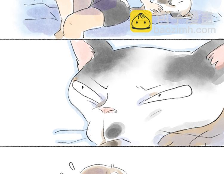 取得猫咪信任的方法-第54话