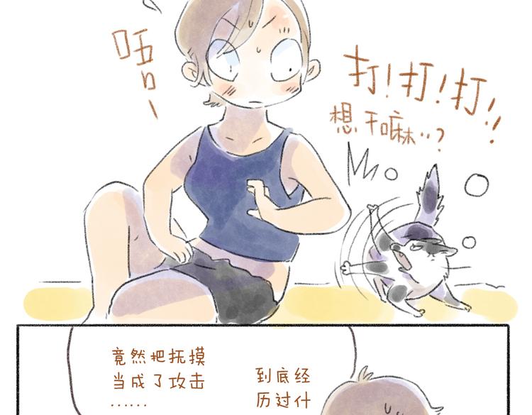 取得猫咪信任的方法-第54话