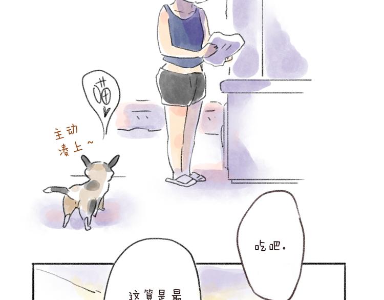 取得猫咪信任的方法-第54话