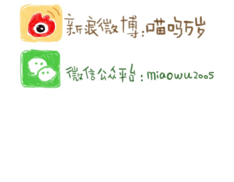 取得猫咪信任的方法-第54话