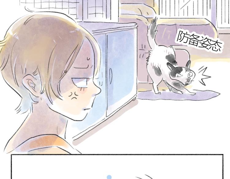 取得猫咪信任的方法-第54话