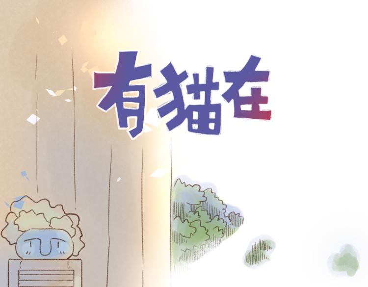 不要为了我打架哦！-第70话