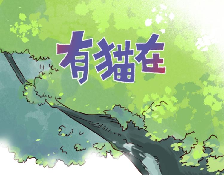 看我的"猫雷达"！-第76话