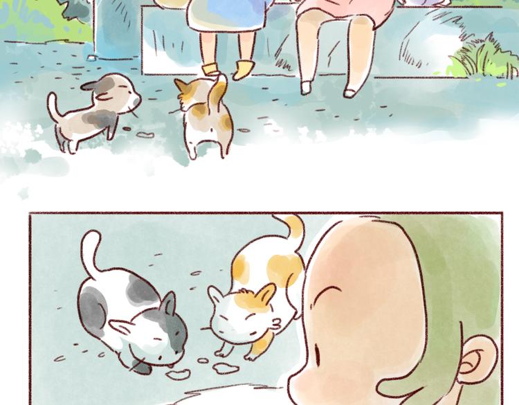 看我的"猫雷达"！-第76话