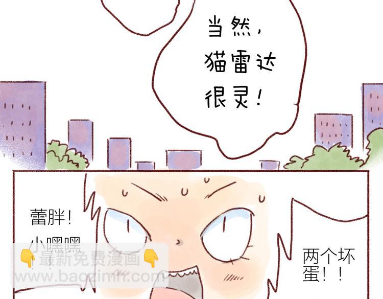 看我的"猫雷达"！-第76话