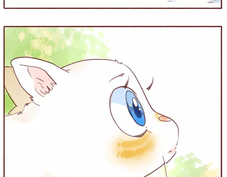 第93话 小野猫-第84话