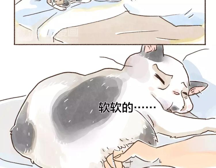 第97话 有猫在 不失眠-第88话