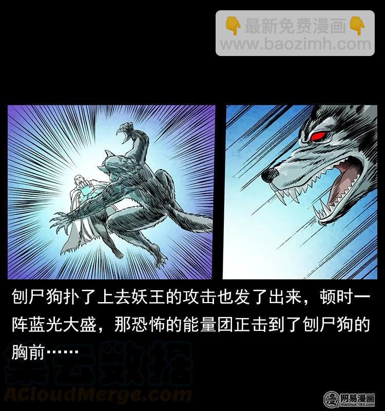 幽冥詭匠 - 109 妖仙刨屍狗(1/2) - 5