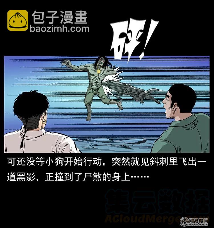 幽冥詭匠 - 118 天寶仙牌(1/2) - 5