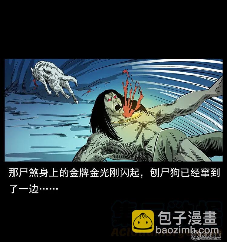 幽冥詭匠 - 118 天寶仙牌(1/2) - 5