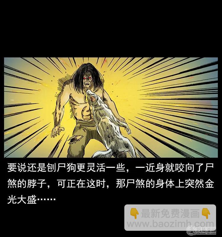 幽冥詭匠 - 118 天寶仙牌(2/2) - 5