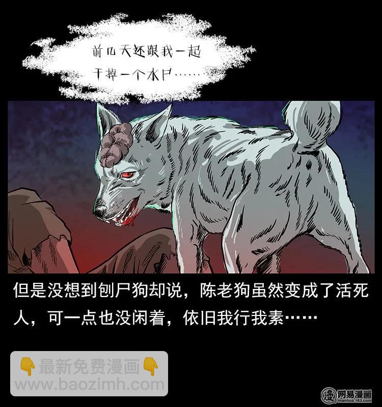 幽冥詭匠 - 118 天寶仙牌(2/2) - 5
