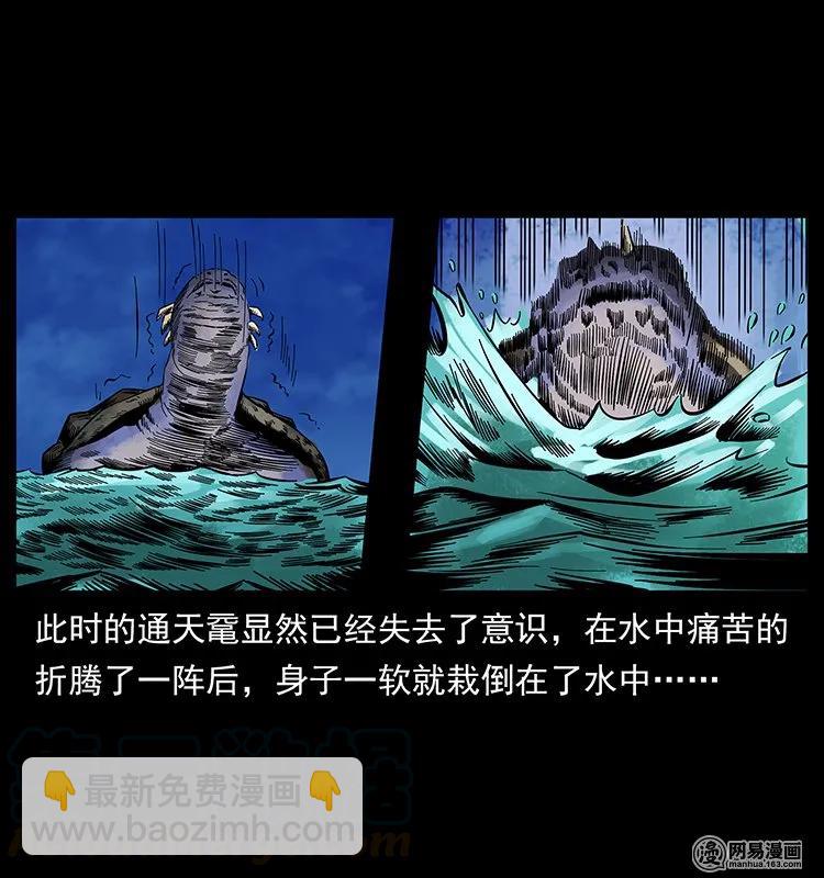 幽冥詭匠 - 130 大戰通天黿(2/2) - 2