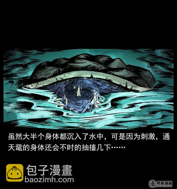 幽冥詭匠 - 130 大戰通天黿(2/2) - 3