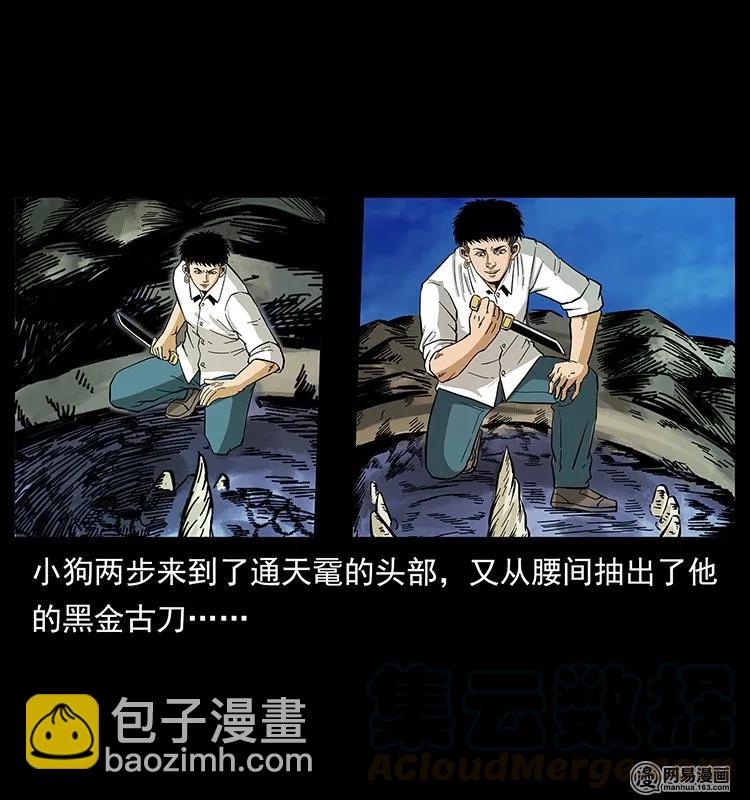 幽冥詭匠 - 130 大戰通天黿(2/2) - 6