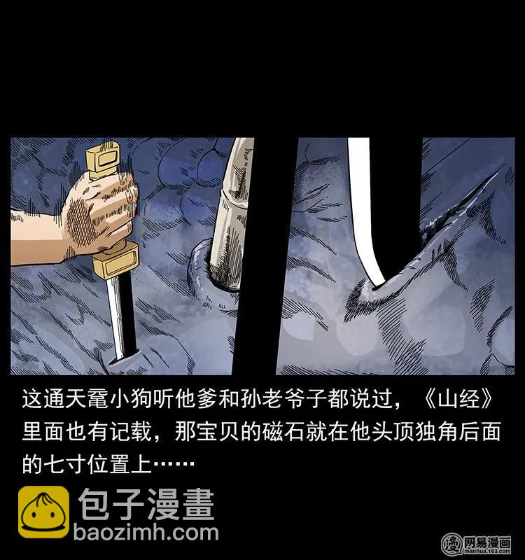 幽冥詭匠 - 130 大戰通天黿(2/2) - 7